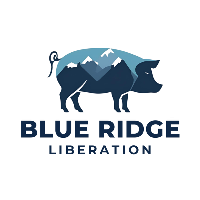 Blue Ridge Liberation
