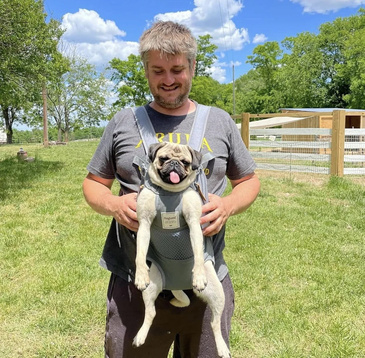 Willie at Ziggy’s Refuge
