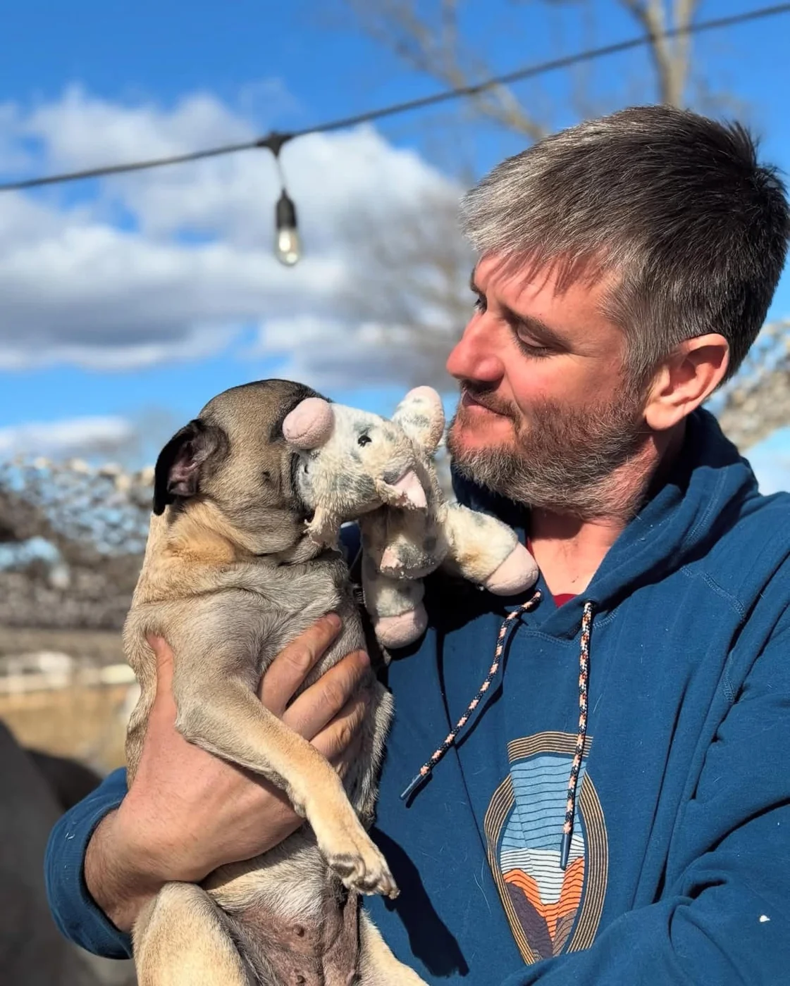 Miss Puggy at Ziggy’s Refuge